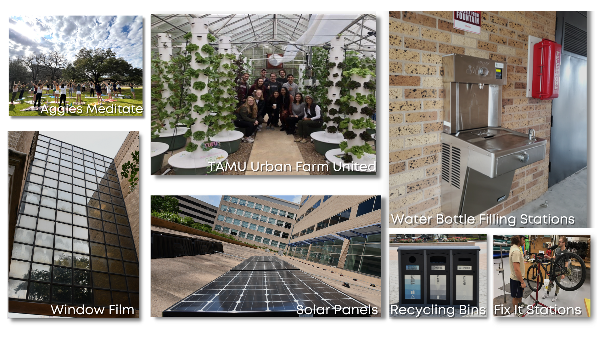 A collage of photos showcasing various campus sustainability initiatives, including: A group of people practicing yoga or meditating outdoors ("Aggies Meditate"). A group posing with vertical hydroponic towers inside a greenhouse ("TAMU Urban Farm United"). A stainless steel "Water Bottle Filling Station" on a brick wall. A large window facade that has been treated with "Window Film". "Solar Panels" installed on a rooftop. Black, multi-compartment "Recycling Bins". People using a bicycle "Fix It Stations" for repair.